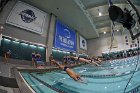 Swimming & Diving vs RWU  Swimming & Diving vs Roger Williams University. - Photo by Keith Nordstrom : Wheaton, Swimming